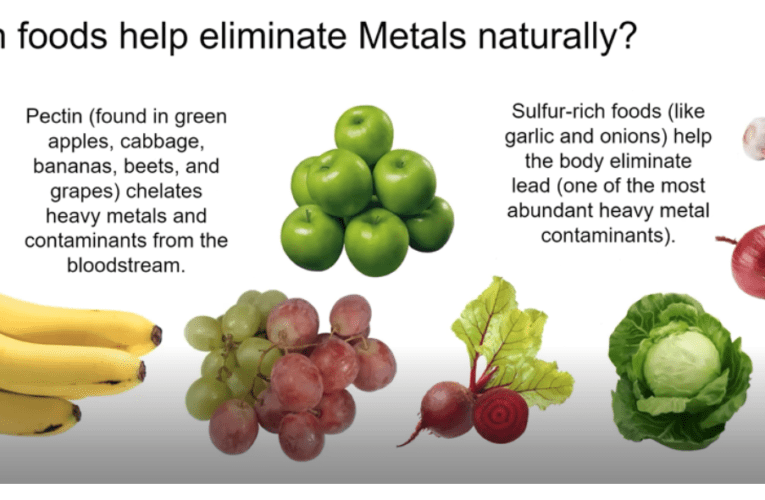 Eliminate Heavy Metals Naturally in Homestead