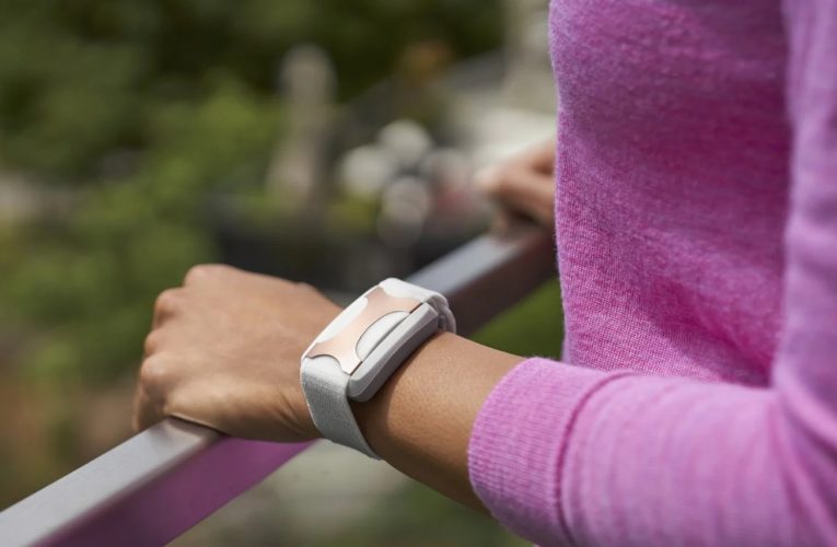 Homestead: Can a Wearable Device Reduce Stress?